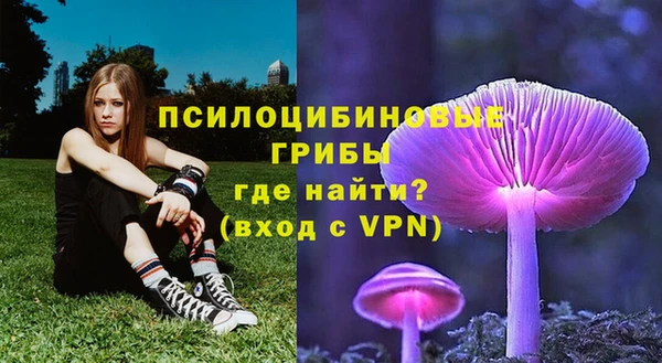 гашиш Кодинск