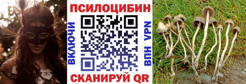 Купить закладки  Изобильный  Галлюциногенные грибы Cubensis 